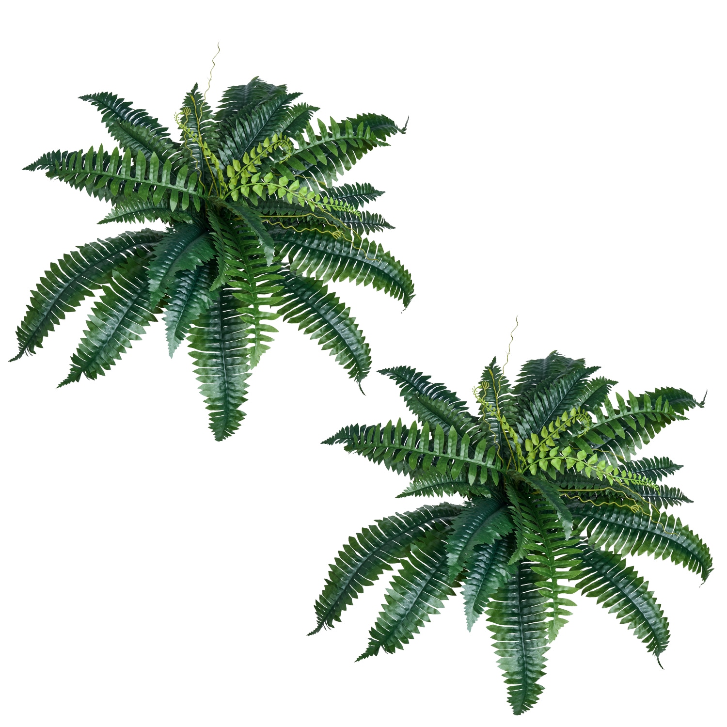 2 Pcs Artificial Boston Ferns Plastic Fern 30 Branches Indoor Outdoor Decor_maomaolike.com